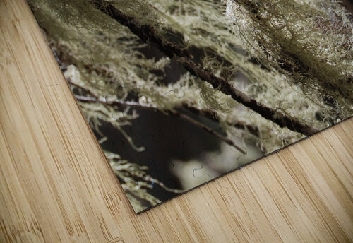 DSC 4300 John Becker Photography puzzle