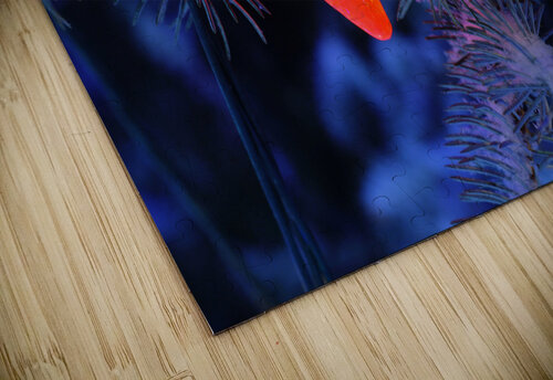 DSC 3661 John Becker Photography puzzle