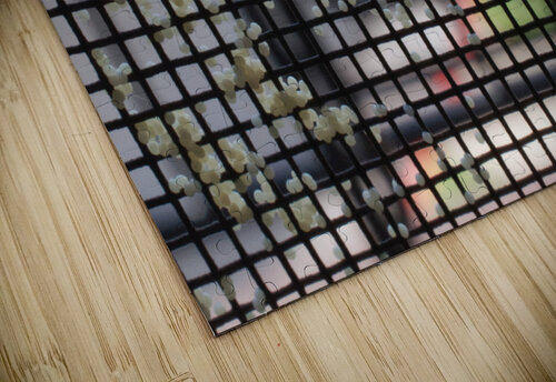 Moth Eggs on Screen John Becker Photography puzzle