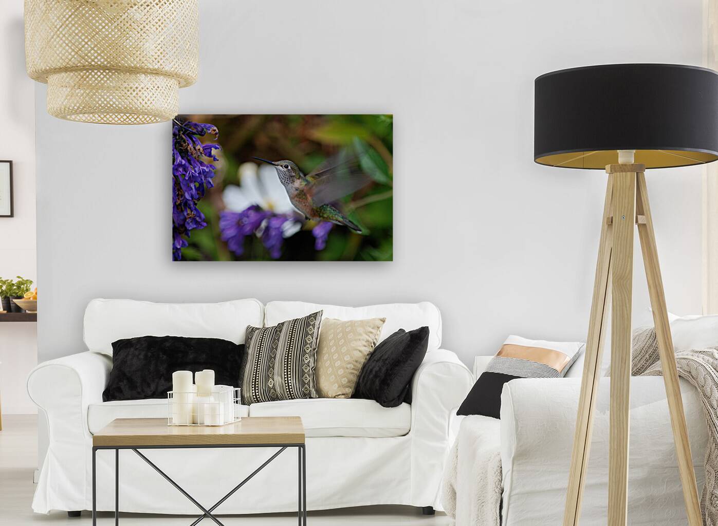 Hummingbird Reproduction