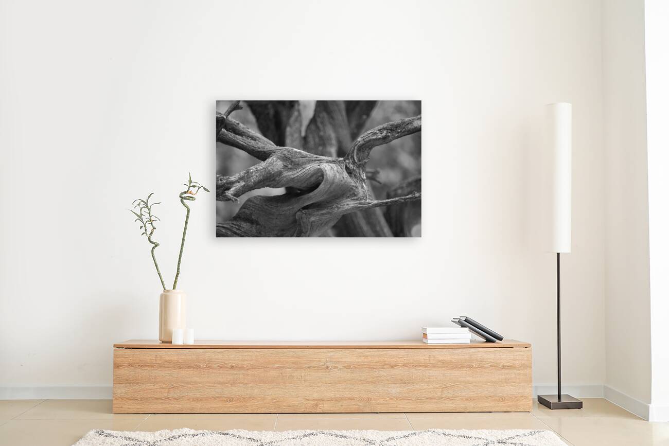 Gnarly Branch Reproduction