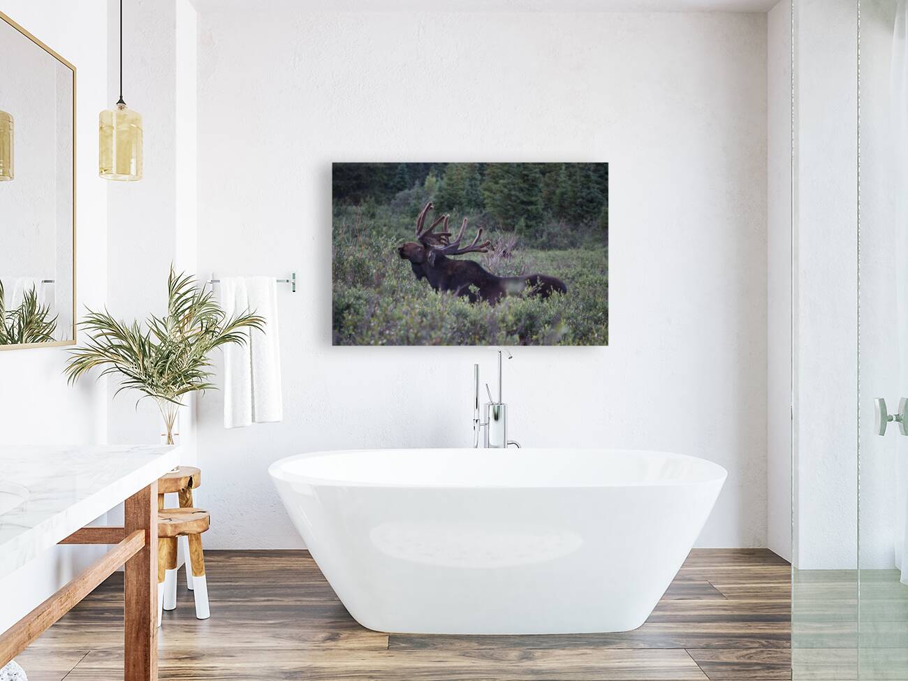 Moose Reproduction