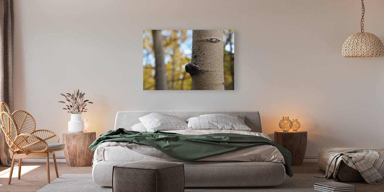 Tree Trunk Reproduction