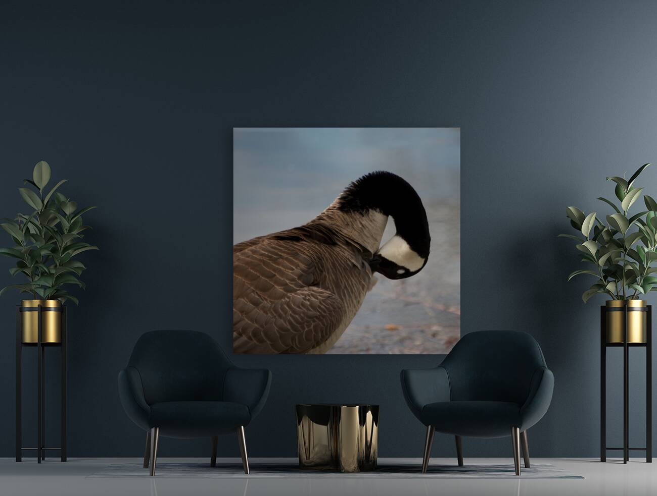 Grooming Goose Reproduction