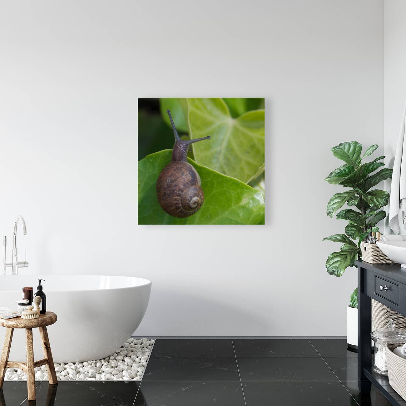 Snail on Leaf Reproduction