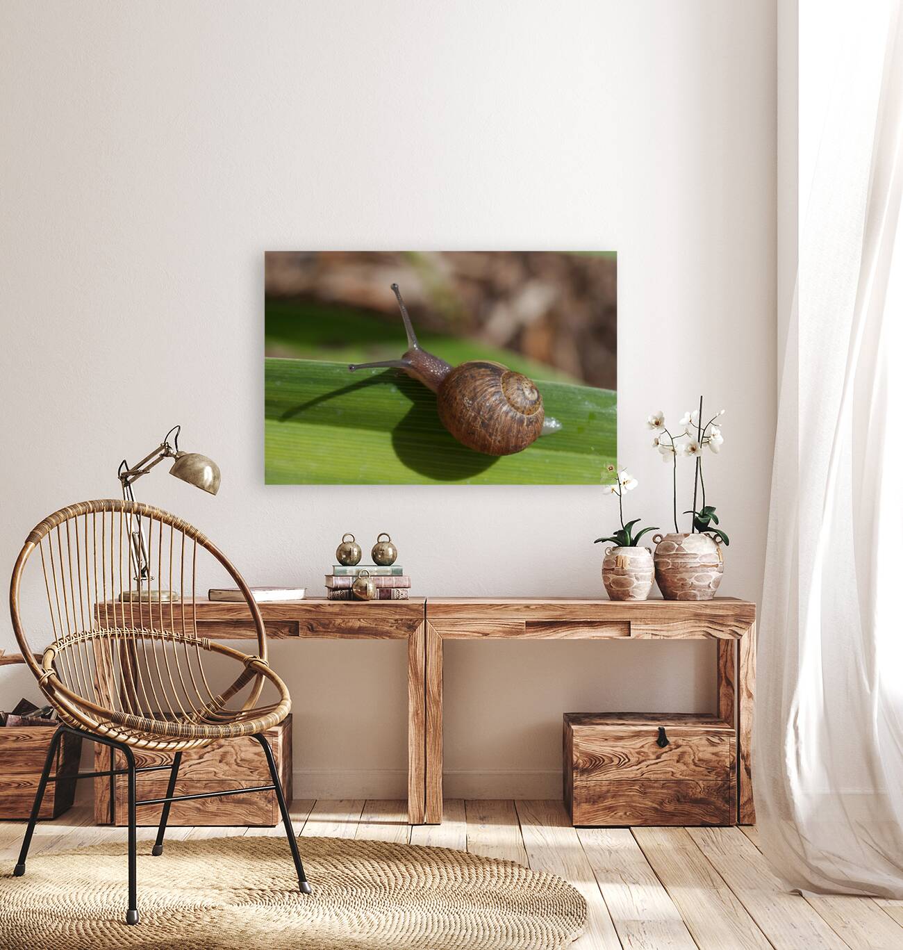 Snail on Grass Reproduction