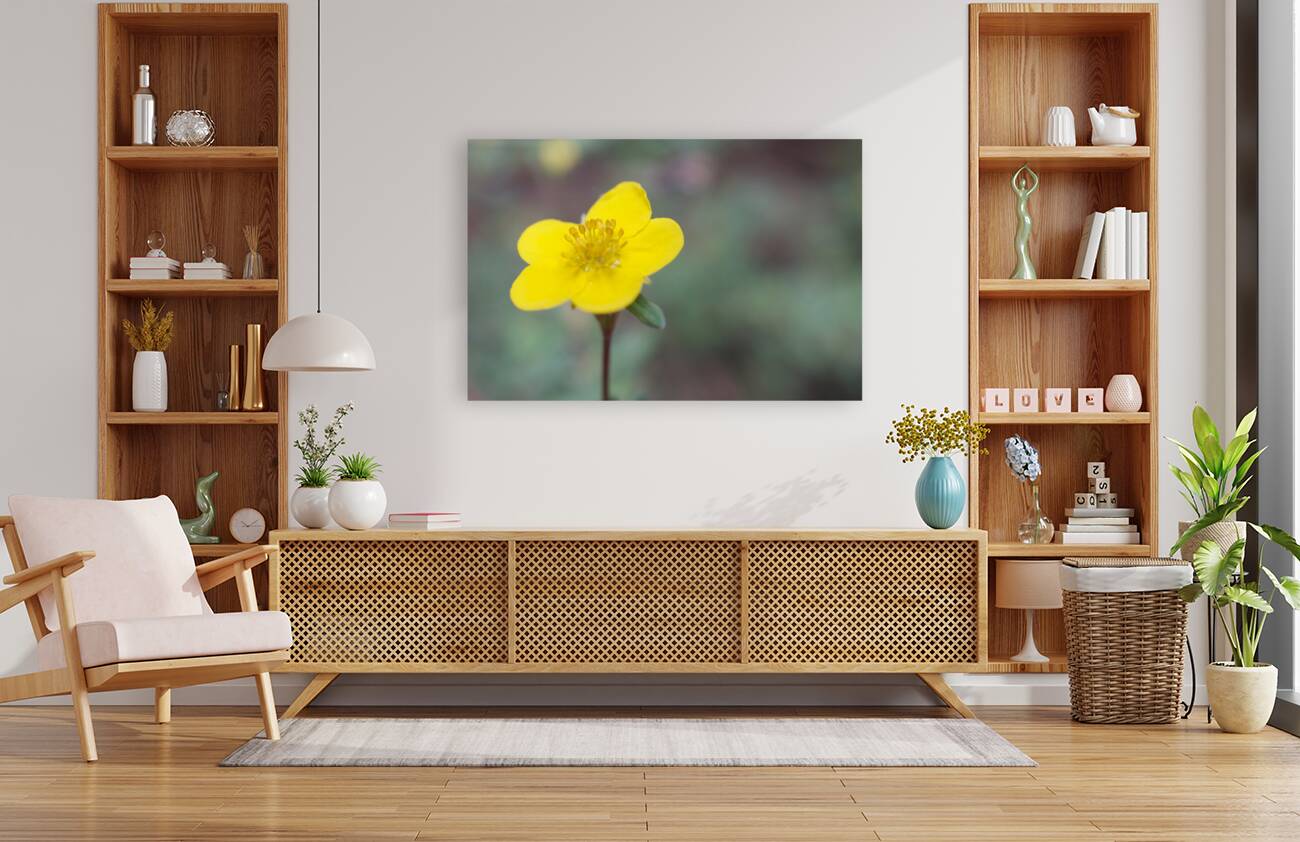 Marsh Marigold Reproduction
