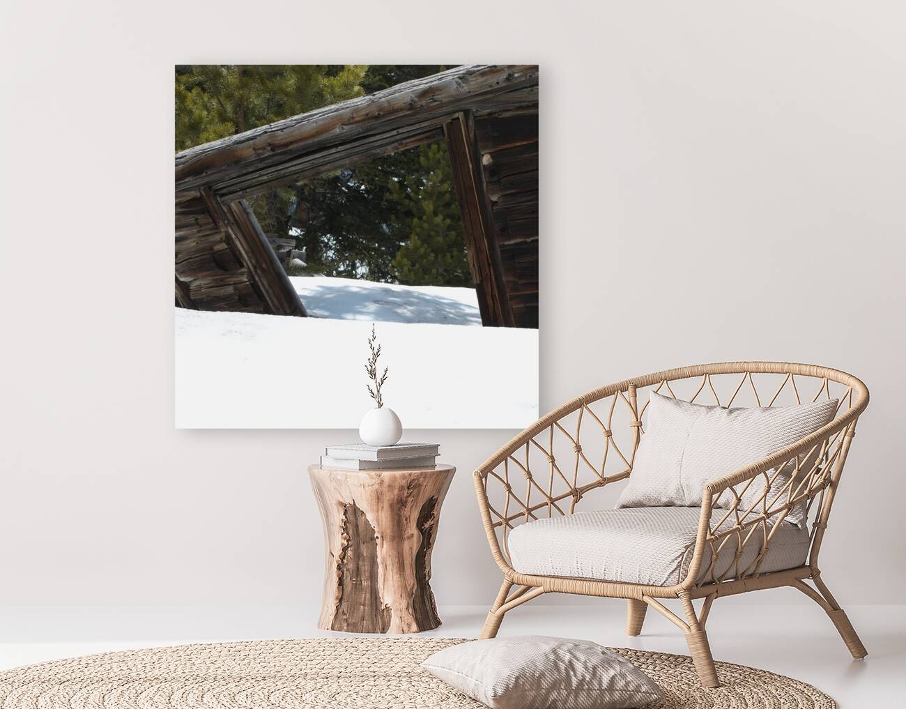  Falling Shed Reproduction