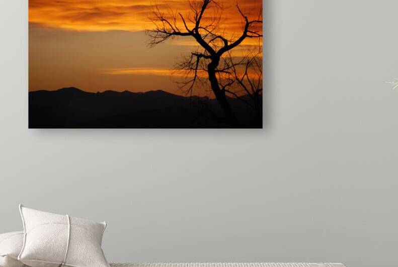 Sunset Reproduction