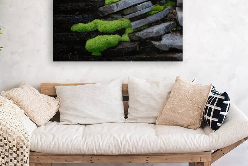 Mossy Rocks by John Becker Photography