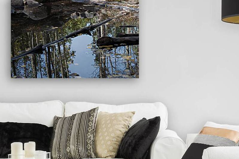 Aspen Reflections Reproduction