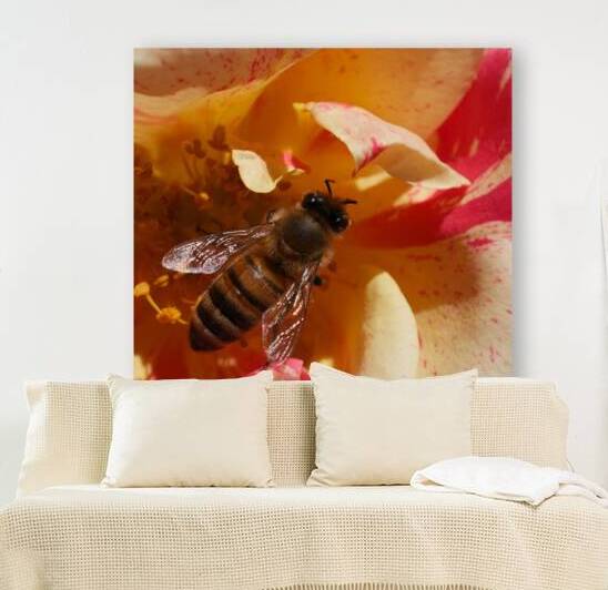 Bee on YellowOrange Flower Reproduction