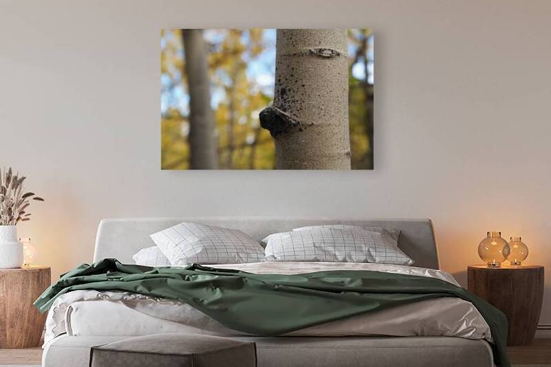 Tree Trunk Reproduction