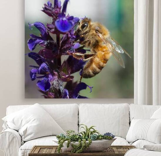  Bee on Purple Flowers Reproduction