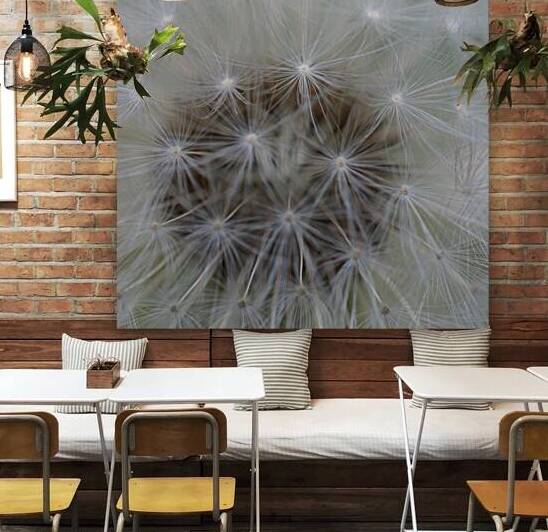 Dandelion Reproduction