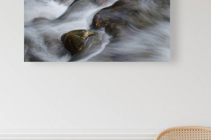 Flowing Stream Reproduction
