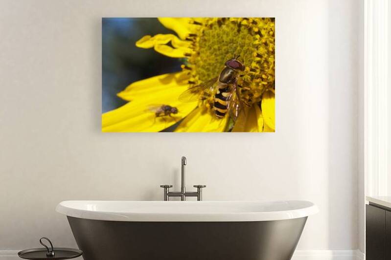 Bee on Yellow Flower Reproduction