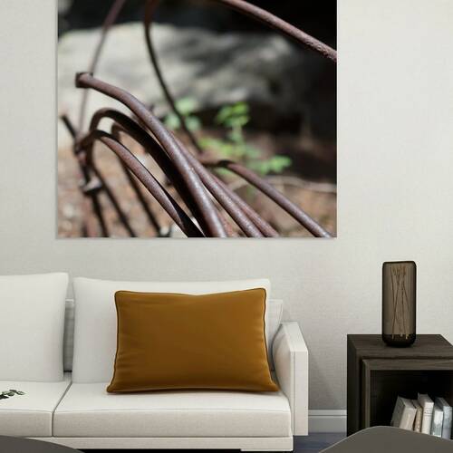 Rusty Curves Reproduction