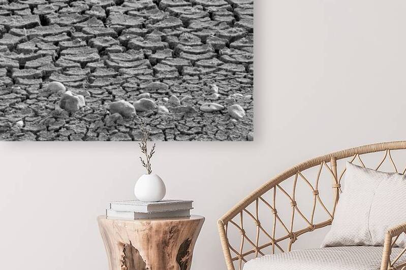 Cracked Earth by John Becker Photography