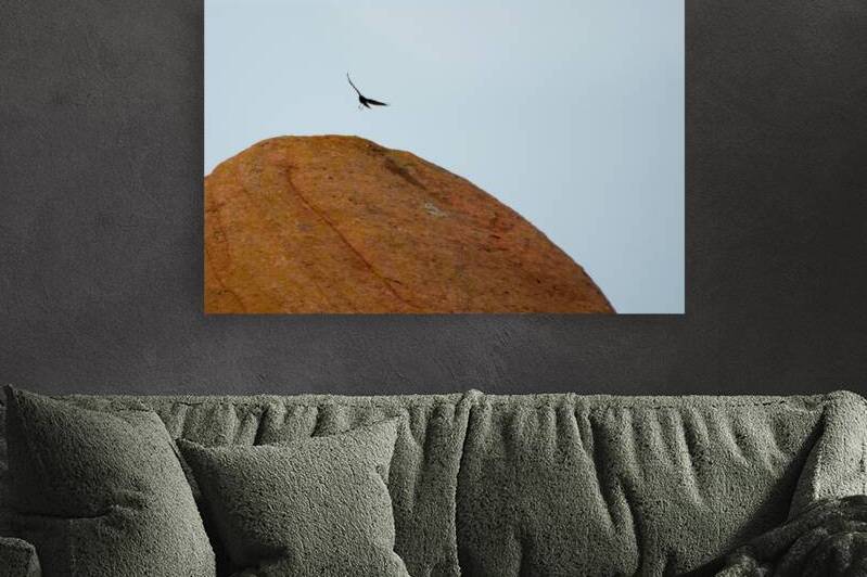 Roxborough 2 Reproduction