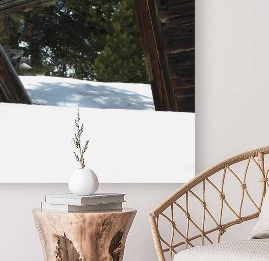  Falling Shed Reproduction