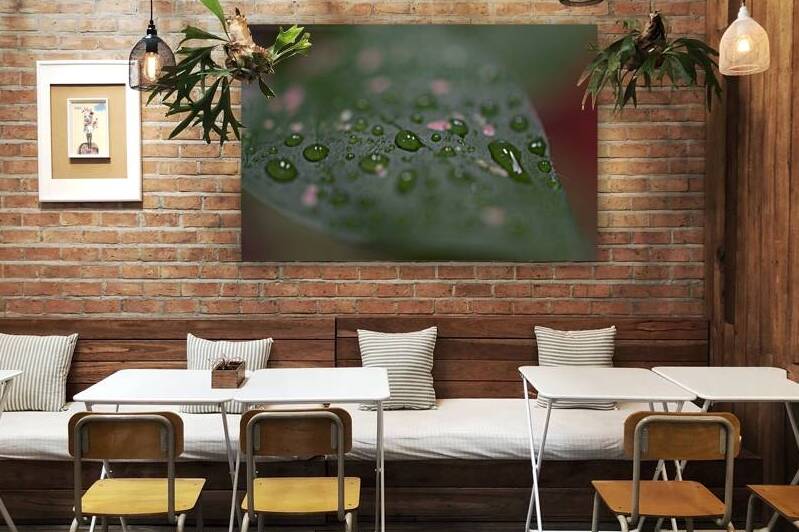 JB0 6094 Reproduction