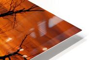 Sunset HD Metal print