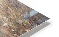 Shadows on Log HD Metal print