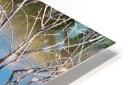 Reflected Branches HD Metal print
