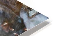 Flowing Stream HD Metal print