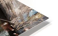 Aspen Reflections 2 HD Metal print