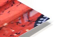 Scarves HD Metal print