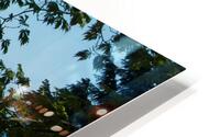 JB0 4167 HD Metal print