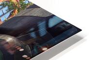 IMG 4220 HD Metal print