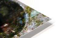 JB0 4076 HD Metal print