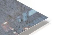 JB0 6189 HD Metal print