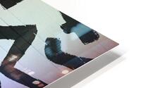 IMG 4874 HD Metal print