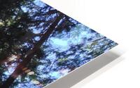 IMG 3991 HD Metal print
