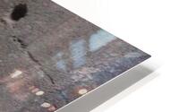 IMG 4177 HD Metal print