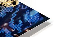IMG 3028 1 HD Metal print