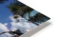 IMG 3532 HD Metal print
