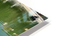 IMG 2760 HD Metal print