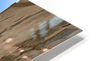 IMG 2727 HD Metal print