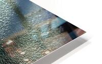 IMG 2958 HD Metal print