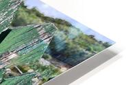IMG 2150 HD Metal print