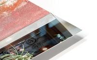 IMG 2306 HD Metal print