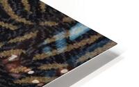 Carpet 16 HD Metal print