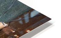 IMG 0011 HD Metal print