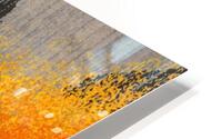 Carpet 7 HD Metal print