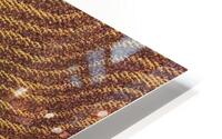 Carpet 30 HD Metal print